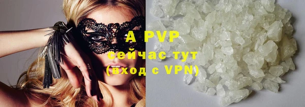 прущие грибы Кукмор