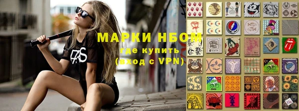 шишки Алзамай