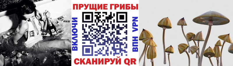 Псилоцибиновые грибы MAGIC MUSHROOMS  Нижневартовск 