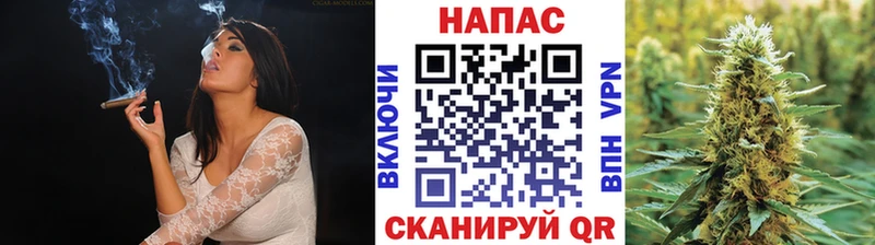 Шишки марихуана марихуана  Нижневартовск 